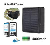 Localizzatore GPS solare WIFI 4G IP67 Waterproof Bovini Mucca Pecora Cavallo Cammello per animali domestici Dispositivo di localizzazione Localizzatore GPS intelligente per animali domestici