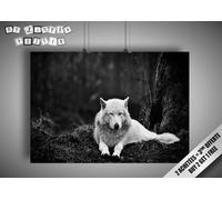 Locandina Game Of Thrones Winter Is Coming Lupo Bianco Wolf Bianca Stark Arte 02