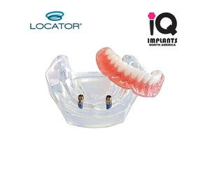 Locator Classico Modello Essenziale Di Educazione