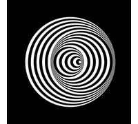 L'occhio in gioco. Il Gruppo N e la psicologia della percezione