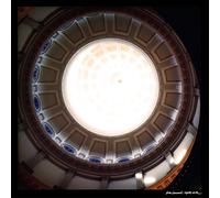 Loch Lomond Night Bats/White Dresses (Vinyl LP) 12" Album