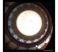 Loch Lomond Night Bats/White Dresses (Vinyl LP) 12" Album