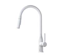 LOCKLGFMCZ Rubinetti da cucina for lavello, rubinetto flessibile in ottone cromato, filtro rimovibile, miscelatore, nero opaco 2 in 1 Rubinetto da cucina(Wit,G3/8)