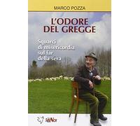L'odore del gregge. Squarci di misericordia sul far della sera