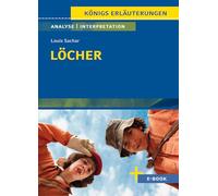 Löcher von Louis Sachar: Textanalyse und Interpretation