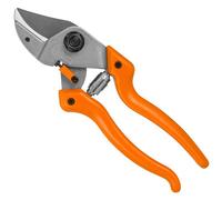 Löwe 7 Forbice Potatura Professionale Acciaio Bypass