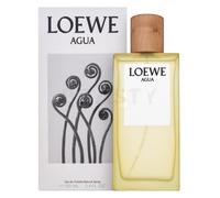 Loewe Agua de Loewe Eau de Toilette unisex 100 ml