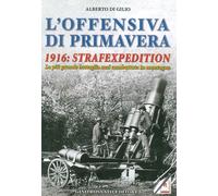 L'offensiva di primavera. 1916: strafexpedition. La più grande battaglia mai com