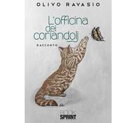 L'officina dei coriandoli