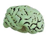 Loftus International Mad Scientist Glow in The Dark Brain Halloween Prop