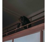 Logan Farmer A Mold for the Bell (CD) Album