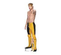 Logan Paul Lifesize Cartone Ritaglio Con Gratis Mini Ufficiale Wwe IN Piedi