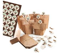 Logbuch-Verlag 24 sacchetti di carta + adesivi con numeri 1-24 renne mollette decorative in legno per calendario dell'Avvento riempire marrone beige verde rosso fai da te idea regalo