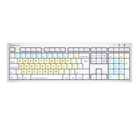 Logickeyboard Dyslexie Keyboard ALBA UK MAC Tastiera QWERTY LKB-DYSLEX-CWMU-UK