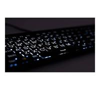 Logickeyboard Largeprint Astra 2 Tastiera LKB-LPWB-A2PC-DE