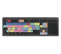 Logickeyboard LKB-PPROCC-A2M-FR Cablato USB Tasto con meccanismo a forbici
