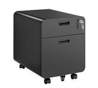 Logilink EO0080 - Armadietto mobile con 2 scomparti, con serratura, fino a 15 kg