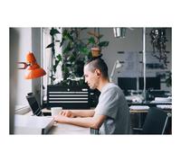 Logitech Zone Auricolare True Wireless Stereo TWS In-ear Musica e Chiamate Bluetooth Grafite LOGITECH ZONE TRUE WIRELESS - -