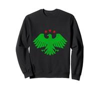 Logo della Siria, Siria, bandiera della Siria, bandiera della Siria. Felpa