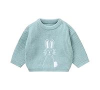 LOIJMK Boys Girls Infants Fall and Winter Carino Bunny Embroidery Warm Knitted Sweater Pullover Ragazzo Nero, Blu, 2-3 Jahre