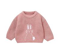 LOIJMK Boys Girls Infants Fall and Winter Carino Bunny Embroidery Warm Knitted Sweater Pullover Ragazzo Nero, Colore: rosa., 2-3 Jahre