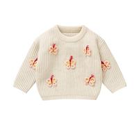 LOIJMK Ragazzi Girls Infants and Toddlers Fall and Winter Three Carino Butterfly Pattern Knitted Top Sweater Giacca sportiva da uomo, beige., 2-3 Jahre