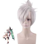 LOL Riven the Blade of Exile Parrucca Cosplay Costume Grigio Argento Capelli sintetici Corti Parrucche con Chip Coda di cavallo 371