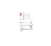 LOLIAS 16G 18G Ear Piercing Taper Piercing Aghi Piercing cono Palla Grabber Strumento per cambiare gioielli acciaio inox Threadless Inserimento Pin Filo Body Piercing Kit orecchio Naso Labbro Pancia