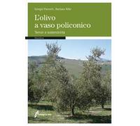 L'olivo a vaso policonico. Terroir e sostenibilità