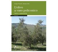 L' olivo a vaso policonico. Terroir e sostenibilità