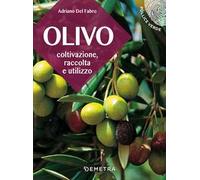 L'olivo. Coltivazione, raccolta e utilizzo