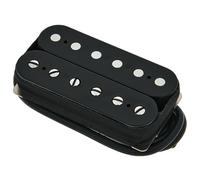 Lollar Monolith F-Spaced BR BK