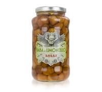 LOLLI babà artigianali imbevuti da una bagna alcolica a base di limoncello, consistenza morbida e spugnosa, vaso in vetro magnum da 2,6 kg, 14% Vol (2,6 kg, limoncello)