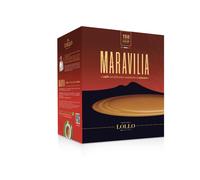 Lollo caffè box cialda Maravilia 150 cialde caffè filtro carta intenso