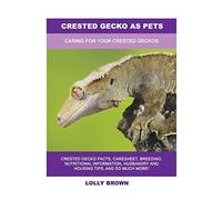 Lolly Brown Crested Gecko as Pets (Tascabile)