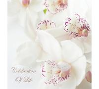 Celebration of Life, In Loving Memory Funeral Guest Book, Wake, Loss, Memorial