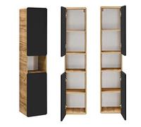 Lomadox - Armadietto alto da bagno New-Luton, 2 ante, 1 ripiano, colore: antracite satinato 35/175/32 cm