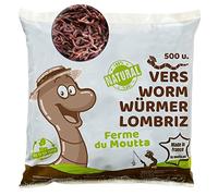 Lombrichi da 250g (circa 500 pz.) | Vermi vivi da terra Eisenia, crea un compost con i tuoi rifiuti organici - Per vermicompostaggio/composter/giardino
