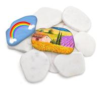 lomdung 12 Pezzi Dipingere i Ciottoli, Le Rocce Ciottoli, Rocce Dipinte Fai da Te Creativo, Pietre da Dipingere, Pietre Piatte Da Dipingere, per Decorative per Acquario e Giardino, 3-8 CM