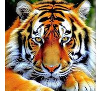 LOMSIOY 5D Diamond Painting Kit Tigre Completo Fai da Te Pittura Diamante Painting Animali, Strass Ricamo Craft Arts per Adulti Decorazione per Casa e Pareti 30x30 cm A