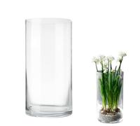 LOMUG Vaso a cilindro, grande, in vetro, trasparente, decorativo, rotondo, moderno, grande, per casa, ufficio, matrimonio, decorazione da tavolo (diametro 12 cm, alto 25 cm)