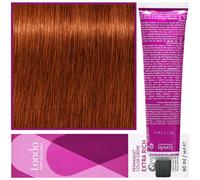 Londa Color 6/43 Biondo Scuro Rame Dorato 60ml - Tinta per capelli