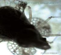 London After Midnight - Psycho Magnet