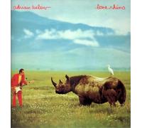 Lone Rhino