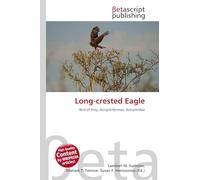 Long-crested Eagle: Bird of Prey, Accipitriformes, Accipitridae