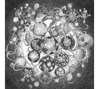 Long Distance Calling - Long Distance Calling