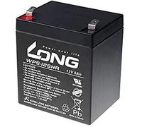 LONG PBLO-12V005-F2AH - Batteria al piombo ad alta velocità 12V 5Ah (WP5-12SHR F2)