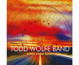 Long Road Back by Wolfe, Todd (2015-05-19)