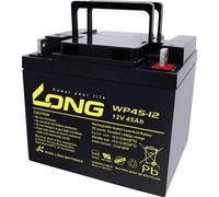 Long WP45-12 Batteria al piombo 12 V 45 Ah Piombo-AGM (L x A x P) 199 x 171 x