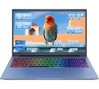 LONGEVINCE Laptop ad Alte Prestazioni con Ampio Schermo da 17,3 Pollici, Core i5-1038NG7, 16GB DDR4, Display IPS FHD, Sblocco con Impronta Digitale, Win11 e Office 2024-Blu (16+512G)